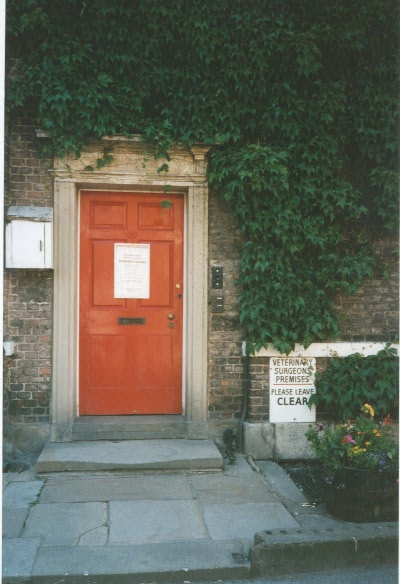 ENTER MY WEBSITE