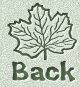 Back to My Family 2